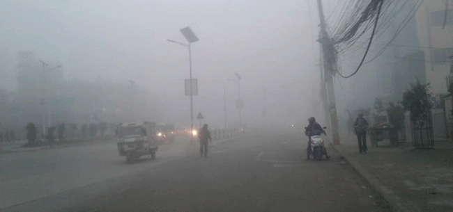 तराईमा बढ्दैछ जाडोको कहरः गरिबको सहारा, पराल नै डस्ना, पराल नै सिरक