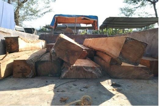 अवैध सालको काठसहित एक पक्राउ