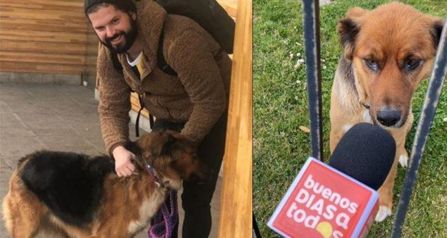 लाइभ च्याट गर्ने, अन्तरवार्ता दिने गर्न थालेपछि राष्ट्रपतिको कुकुर चर्चामा