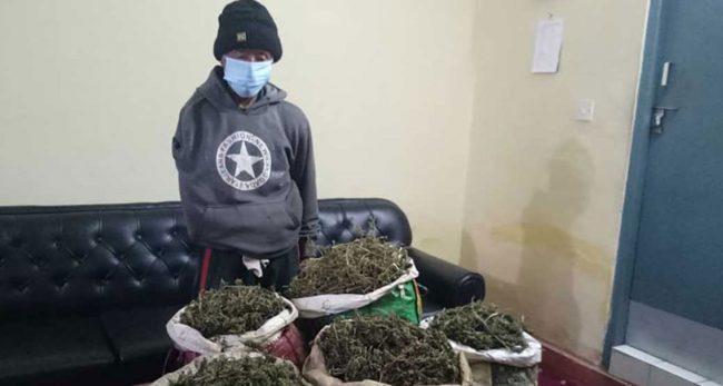 स्याङ्जाबाट झण्डैं ८ किलो गाँजासहित ६७ वर्षीय वृद्ध पक्राउ