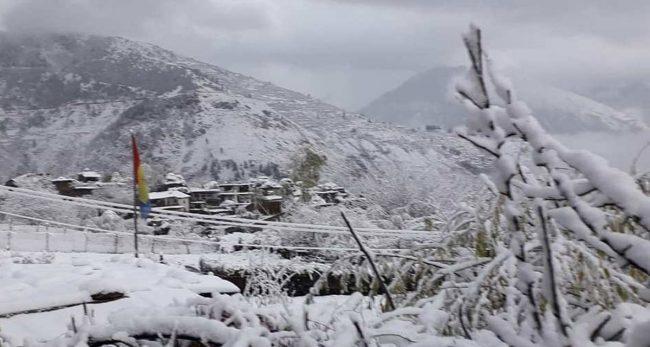 हुम्लामा पुनः हिमपात : किसान खुशी