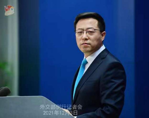 ‘अमेरिकाको लोकतन्त्र जराबिनाको रुख’