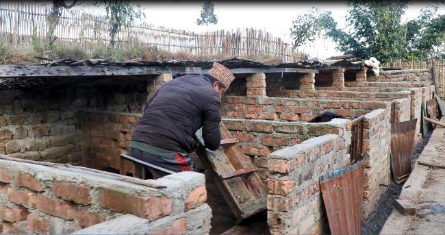 बंगुरपालनले फेरियो आँखेवा युवाको दैनिकी