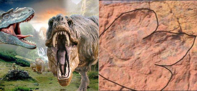 पोल्यान्डमा डायनोसरका सयौं पद चिन्ह फेला