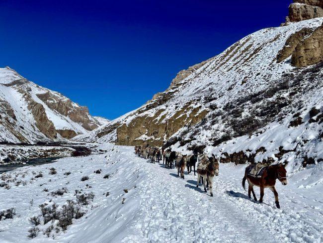 सेताम्य उपल्लो डोल्पा (फोटोफिचर)