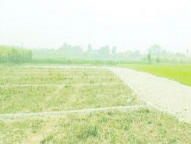 वडा भवन बनाउन जग्गादान