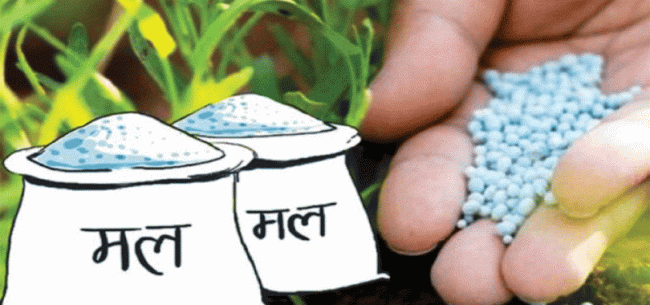 धनुषामा रासायनिक मलको अभाव, दिनभर डिलरमा कुरेर बस्छन् किसान