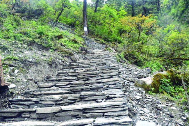 पदमार्गले यात्रा अवधि छोटियो