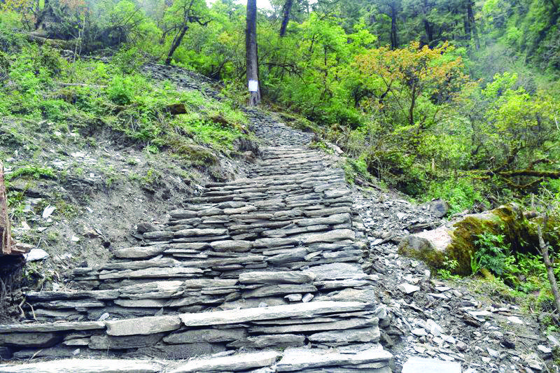 पदमार्गले यात्रा अवधि छोटियो