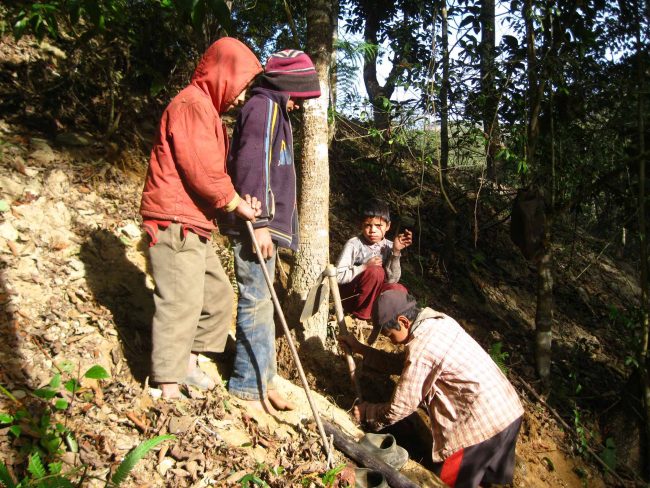माघे संक्रान्तिलाई जंगलमा वन तरुल खोज्नेको भिड