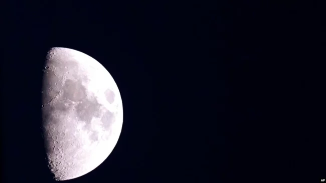 वैज्ञानिकले अब चन्द्रमामा बिरुवा उमार्ने
