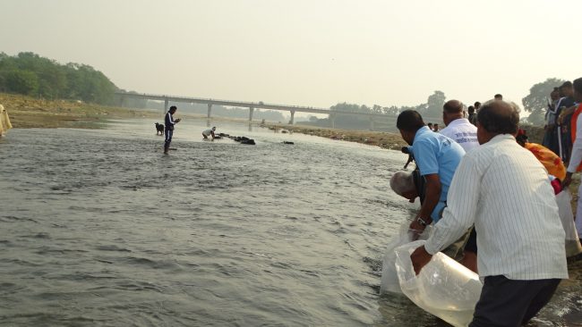 विश्व मत्स्य दिवस: दानव नदीमा ५० हजार भुरा छाडियो (फोटो फिचर)