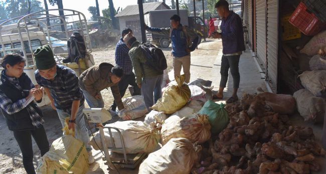 किसानलाई तरुल खन्न र बिक्री गर्न भ्याइ नभ्याइ