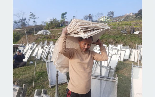 नेपाली कागज: बजारमा माग धेरै, उत्पादन कम