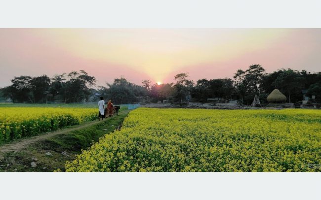 आसामभित्रको नेपालः हटेन गोठाले दुःख, तैपनि जोगाएकै छन् पुर्ख्यौली संस्कृति