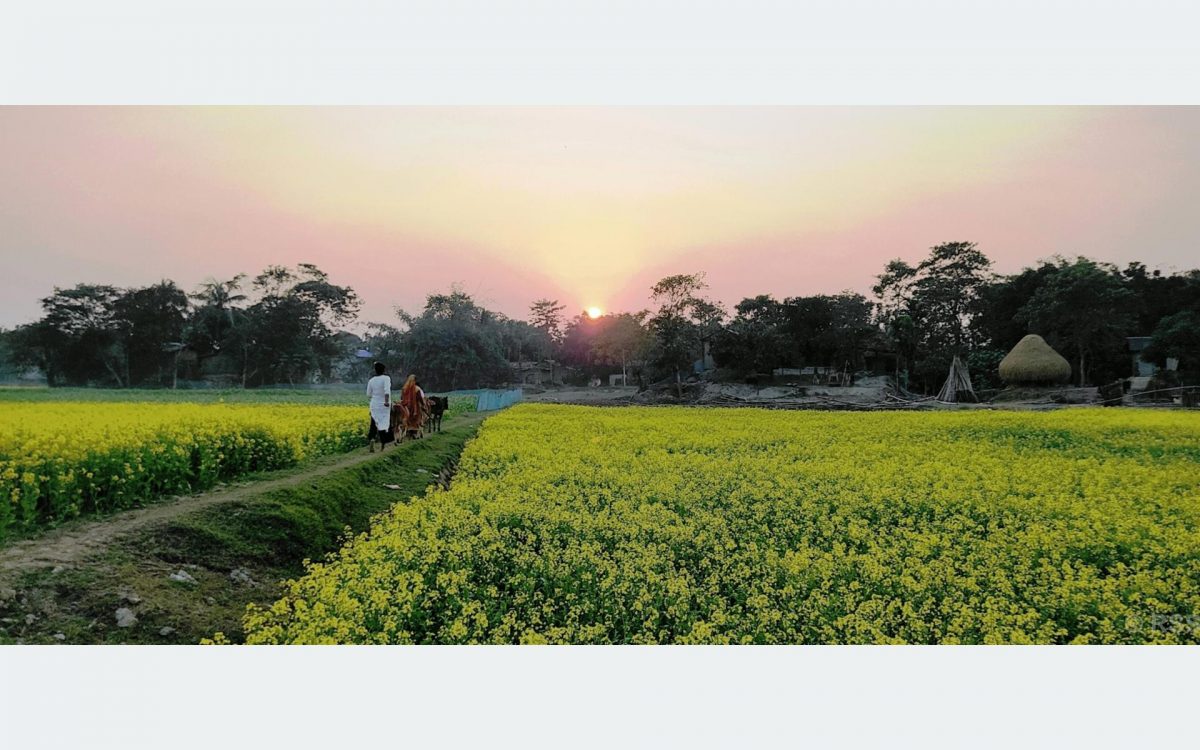 आसामभित्रको नेपालः हटेन गोठाले दुःख, तैपनि जोगाएकै छन् पुर्ख्यौली संस्कृति