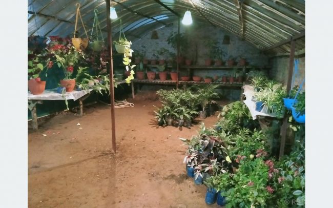 मालीबाट मालिक बनिन् सनसरी
