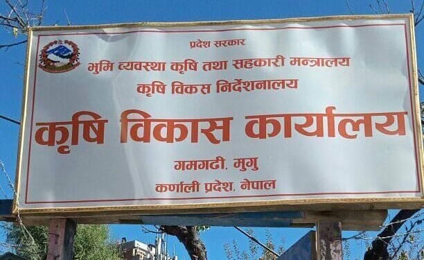 एक महिनादेखि कृषि कार्यालय मुगु प्रमुखविहीन