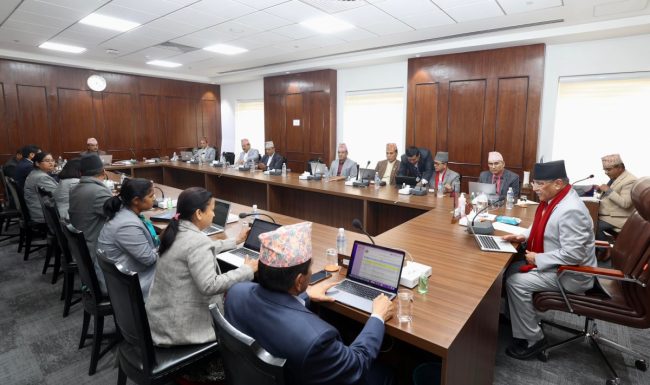 योजना आयोगको सदस्यमा सुशील ज्ञवाली, अञ्जान शाक्य र कुशेन्द्र महत नियुक्त