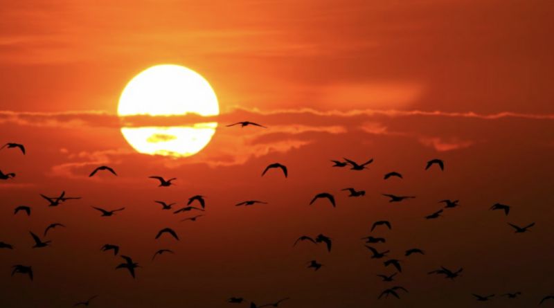 ओजोन तह केही दशकभित्र पुरानै अवस्थामा फर्कनसक्ने राष्ट्रसङ्घीय प्रतिवेदनको निष्कर्ष