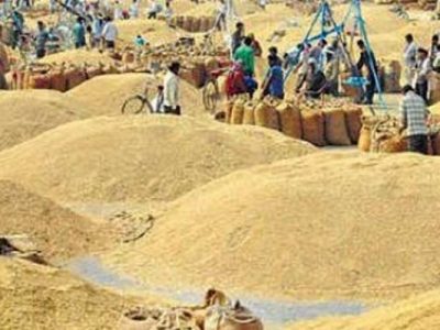 धनुषा र महोत्तरीबाट ६ हजार क्विन्टलभन्दा बढी धान खरिद