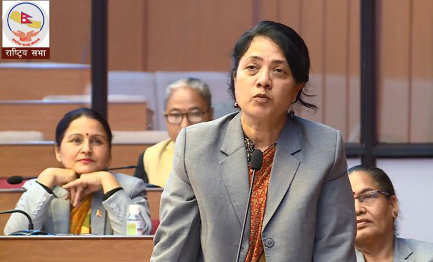 ‘देशमा अशान्ति छैन, सेनाको सङ्ख्या किन  बढी चाहियो ?’