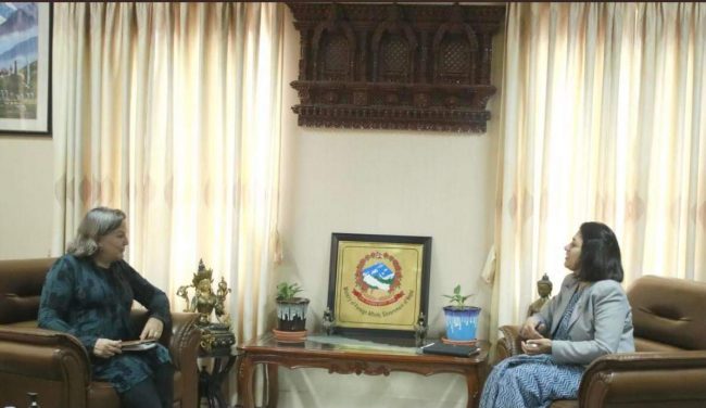 परराष्ट्रमन्त्री र अमेरिकी उपविदेशमन्त्रीबीच भेटवार्ता