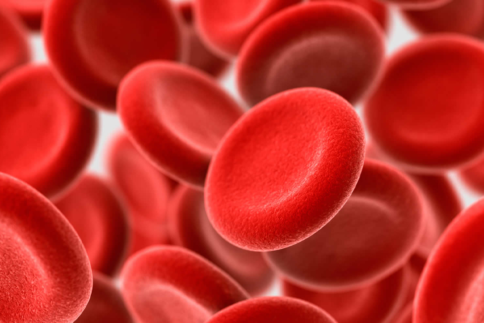 शरीरमा हेमोग्लोबिनको कमी भएको छ ? यी खानेकुराहरु खानुहोस्