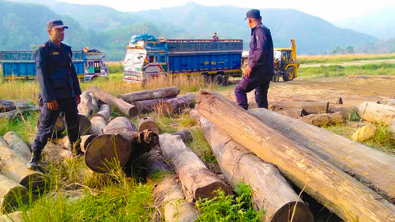 सालको काठको अबैध तस्करी बढ्यो {हेर्नुहोस् भिडियो}