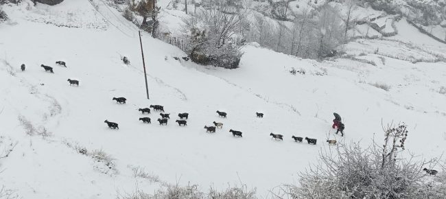 हिउँले सेताम्मे कर्णाली (फोटोफिचर)