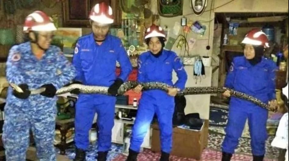 आधा रातमा घरको छत भत्काएर विशाल अजिंगर परिवारमाथि खस्यो