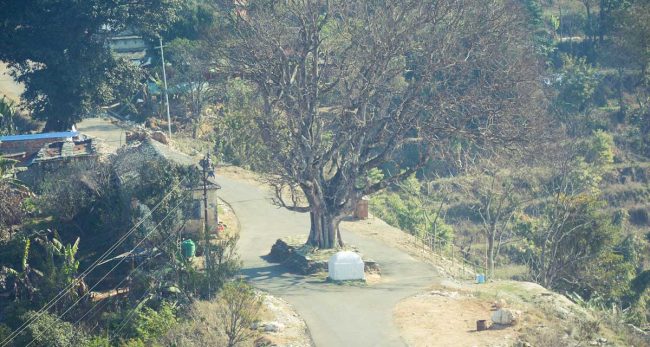 किन सुस्तायो भाइरल तनहुँसुर ?