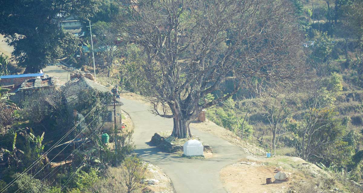 किन सुस्तायो भाइरल तनहुँसुर ?