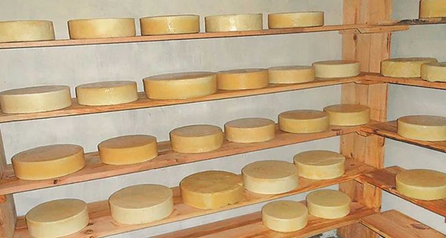 चिज उद्योग तीन वर्षपछि पुनः सञ्चालन