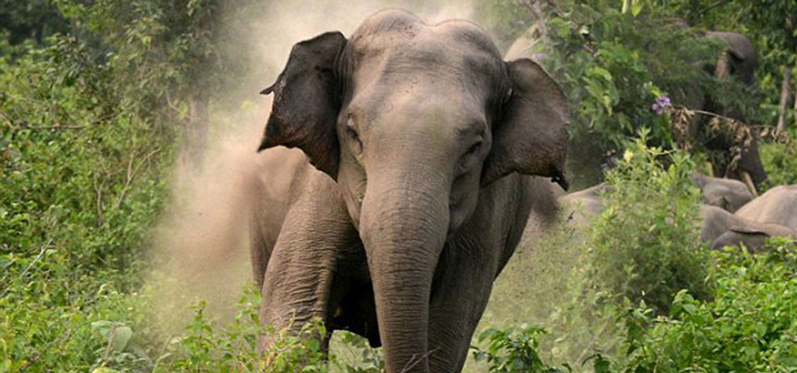 गोविन्देको आक्रमणबाट इजरायली नागरिकको मृत्यु