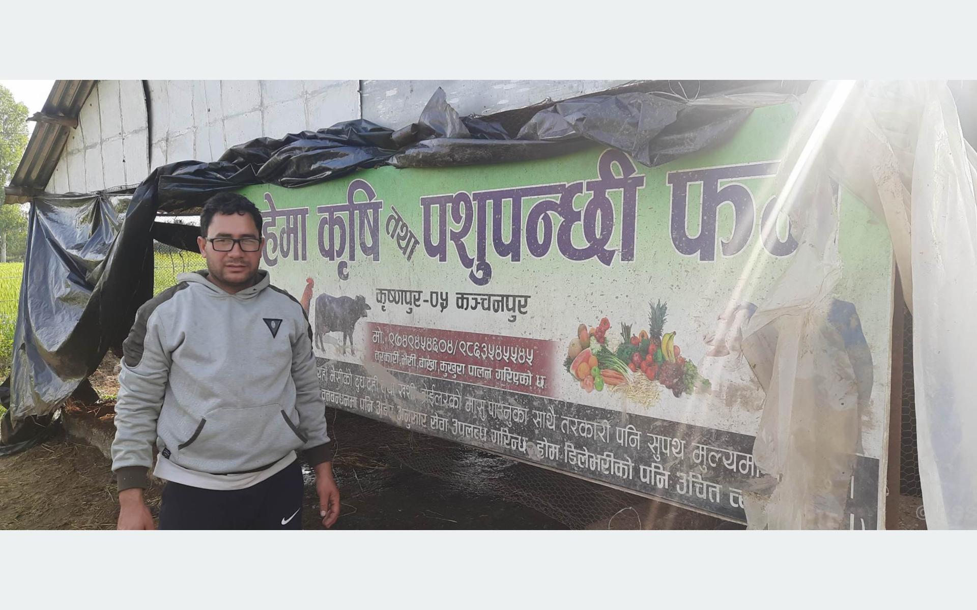 क्यानडाको भिसा त्यागेर भैँसीपालन, मासिक ७० हजार आम्दानी