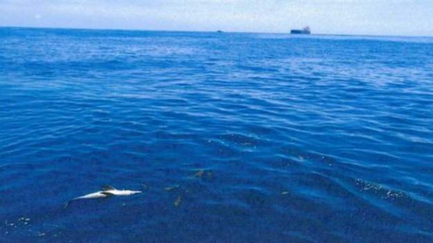 व्हिसलब्लोअरले अष्ट्रेलियाको तेल कम्पनीको गोप्य खुलासा गरे