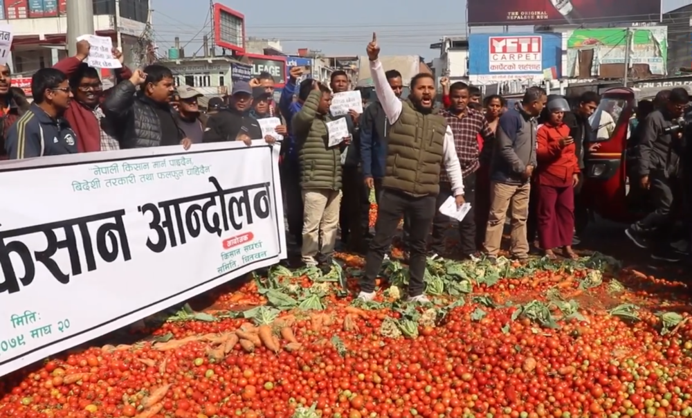 किसानले तरकारी फालेको घटनाप्रति प्रधानमन्त्रीको ध्यानाकर्षण