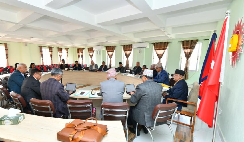 एमालेको सङ्गठन सृदृढीकरण अभियानको अनुगमनका लागि नेताहरू तोकिए