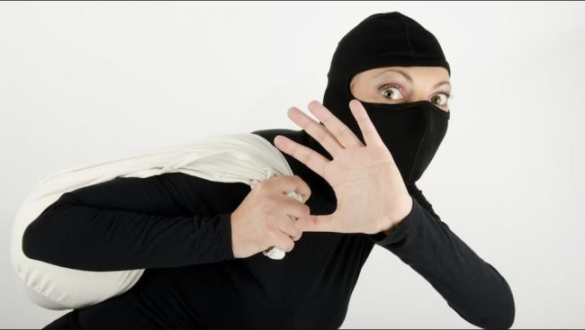 चोरहरूले ‘सबैभन्दा कुरुप चीज’ चोरेर लगे, मालिक शोकमा