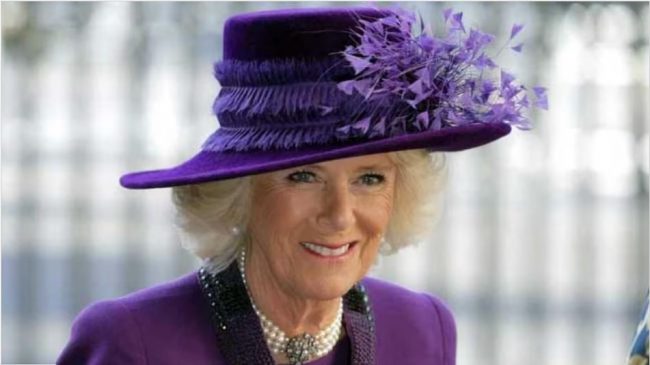 बेलायतका राजा चार्ल्सकी श्रीमती रानी क्यामिलाले किन कोहिनूर हीरा लगाउन अस्वीकार गरिन् ?