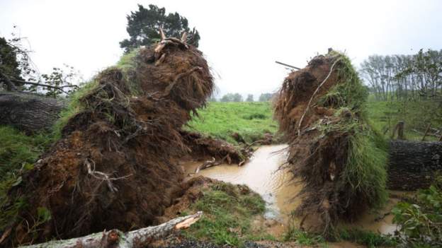 न्यूजिल्याण्डमा संकटकाल लागू, तस्वीरमा हेर्नुहोस् विनाश