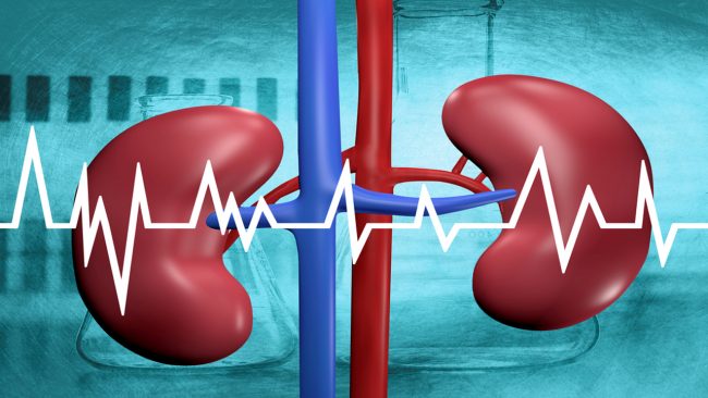 शरीरमा यी ५ परिवर्तन आउन थाले बुझ्नुहोस् किडनी बिग्रँदैछ