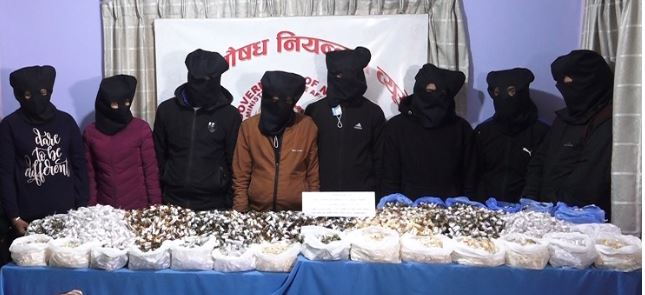 ठूलो मात्रामा लागूऔषधसहित १३ जना पक्राउ