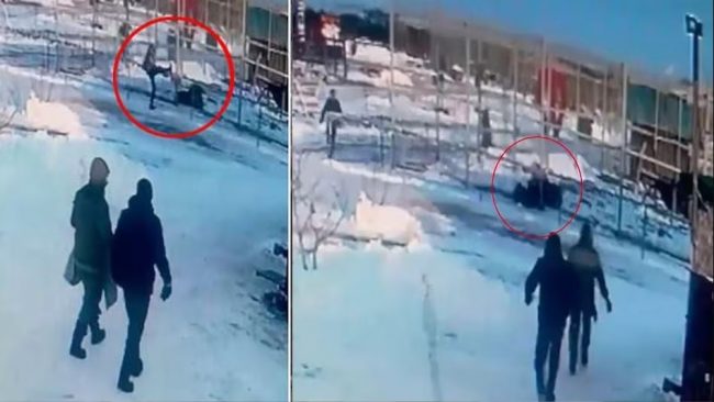 रक्सीले मातेकी महिला सिंहको खोरमा हामफालेपछि…