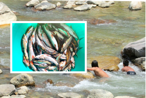 सङ्कटमा छन् झलनाथले सम्झिएका असला