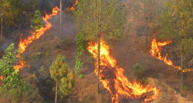 चुरेमा डढेलो, पानी अभावले निभाउन मुस्किल