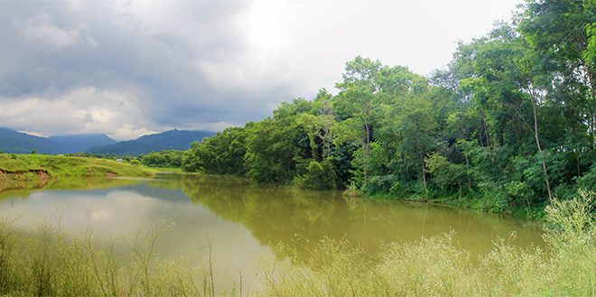 आन्तरिक पर्यटक तान्दै चरिङ्गे दह