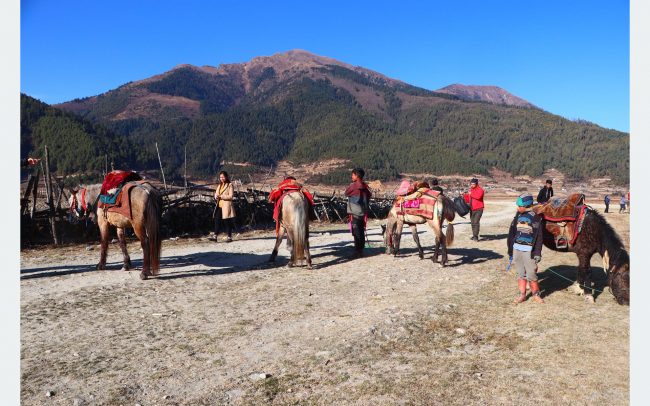 ओझेलमा ढोरपाटनः सिकार आरक्ष, सौन्दर्यता र अपार सम्भावना