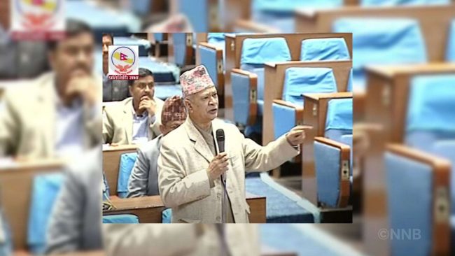 सरकारले संसदलाई अपहेलना गरेको सांसद पन्तको टिप्पणी